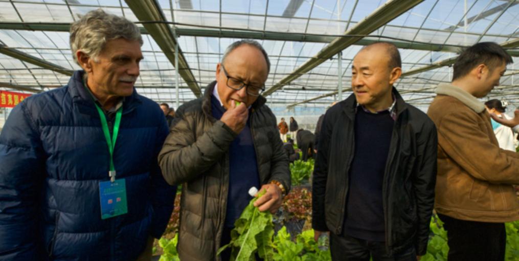 第一届全国莴苣种质资源创制保护和研究利用研讨会在上海举行